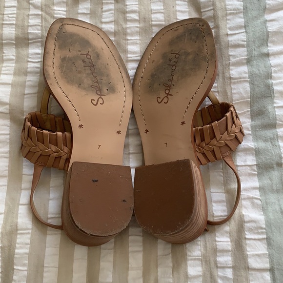 Splendid Sandals - Picture 5 of 5